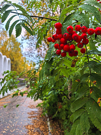 К празднику иконы Божией Матери «Неопалимая Купина»: памяти пожарных военного Мурмана 