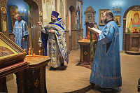 «Иже во огни купины неопалимыя…»